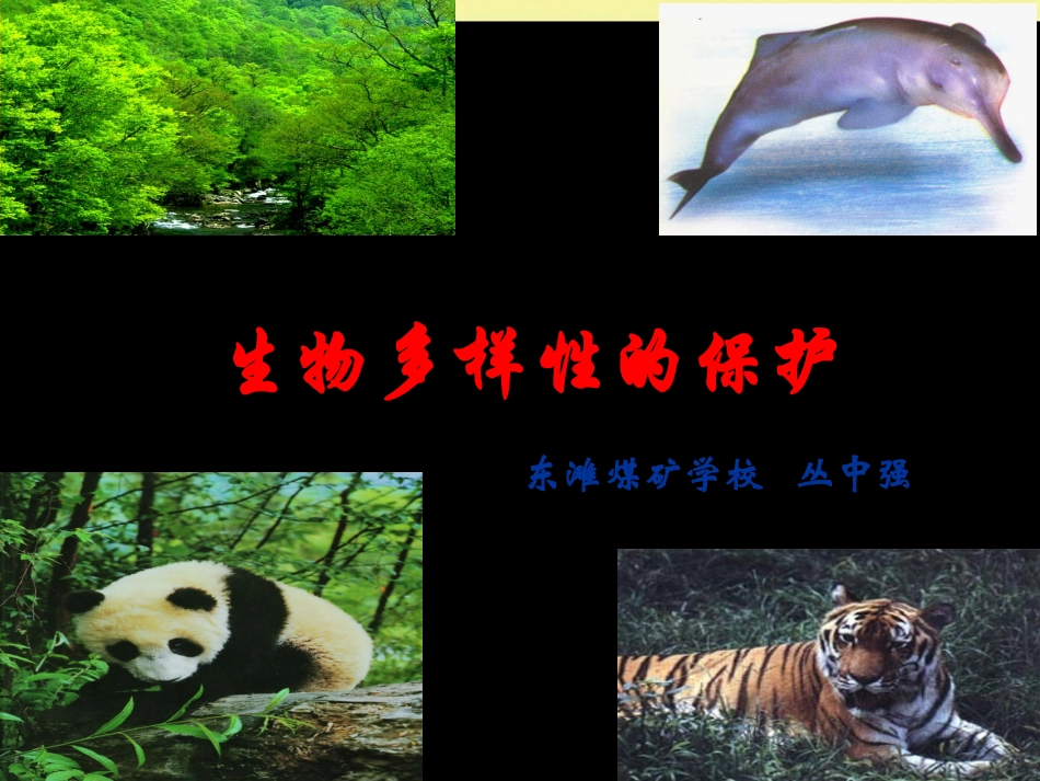 生物多样性的保护_第1页
