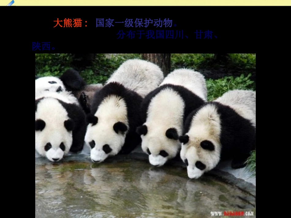 生物多样性的保护_第3页