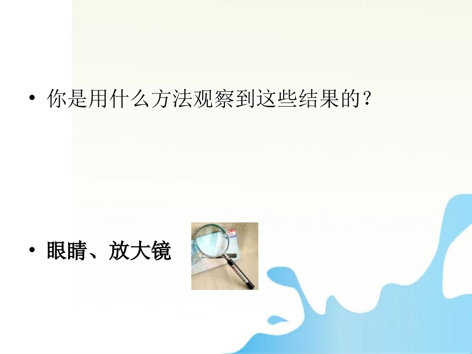 六年级科学上册_水滴里的生物课件2_苏教版_第3页