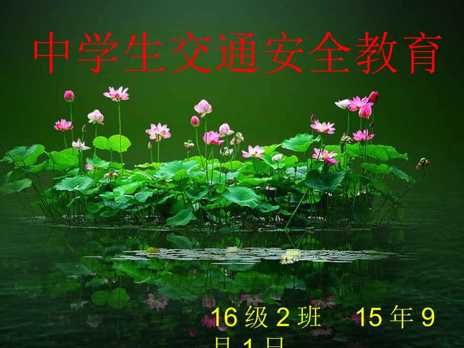 中学生交通安全教育_第1页