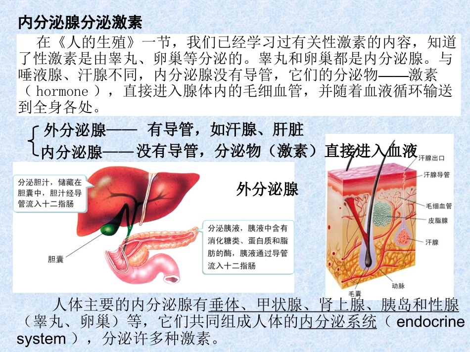 下册第四单元第6章第四节激素调节（23张）（共23张PPT）_第3页