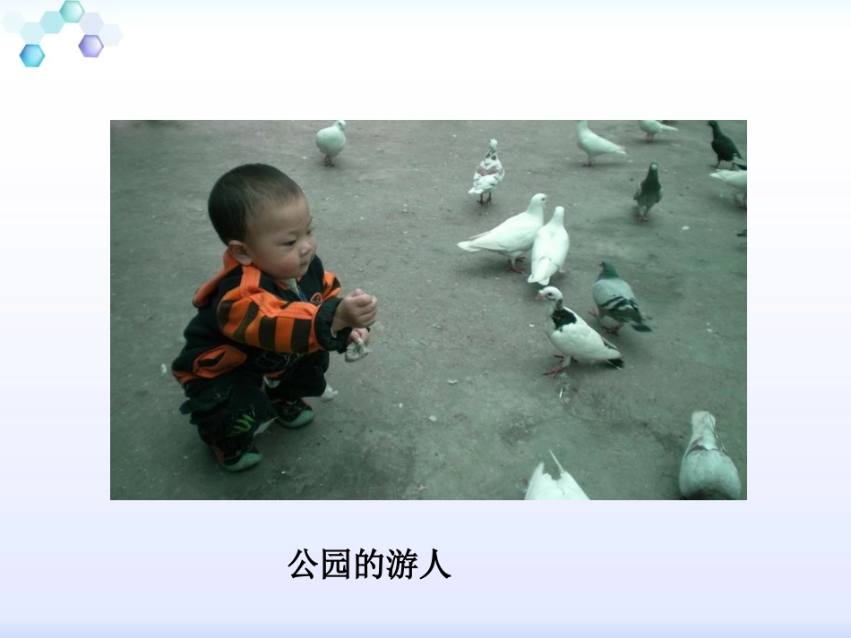 三年级上册语文——5灰雀_第3页