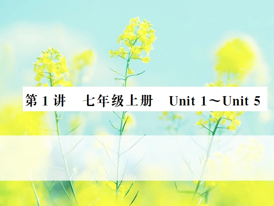 七年级上册UNIT1--5复习_第1页