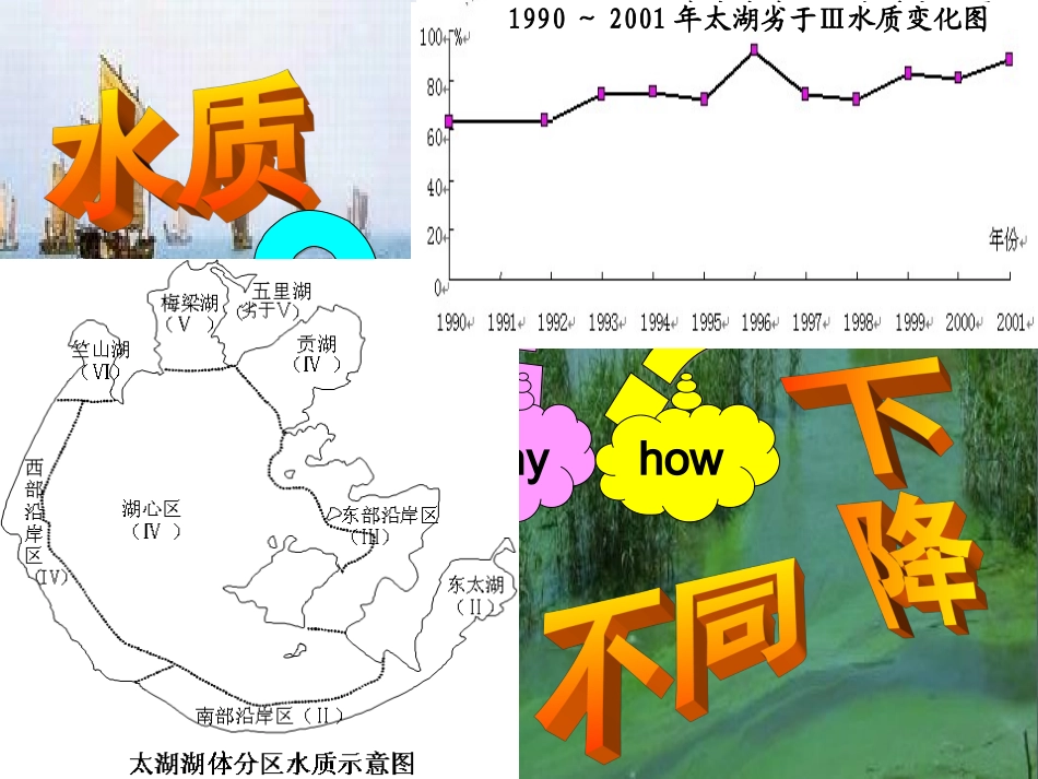 水污染及其成因_第3页
