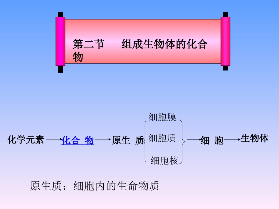 生物的物质基础_第2页