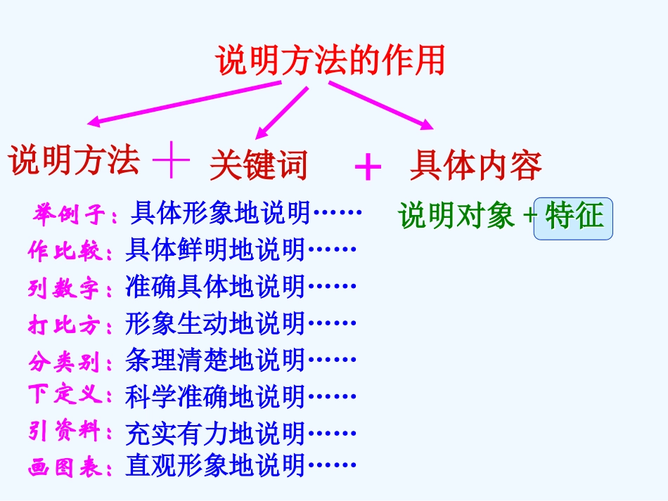 中考语文复习 说明方法的作用课件_第3页