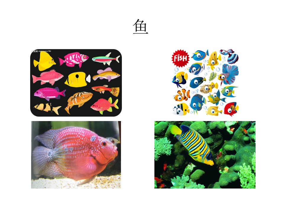有趣的海底世界_第2页