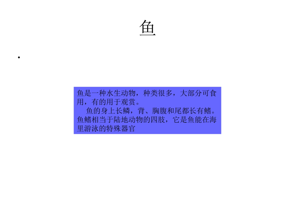 有趣的海底世界_第3页