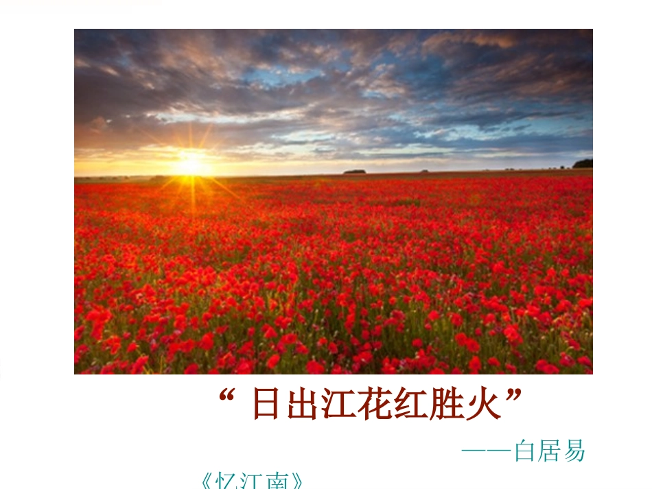 色彩的魅力王晶_第3页