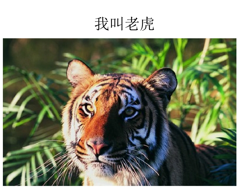 认识动物的世界_第2页