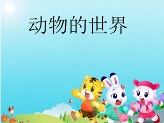 认识动物的世界