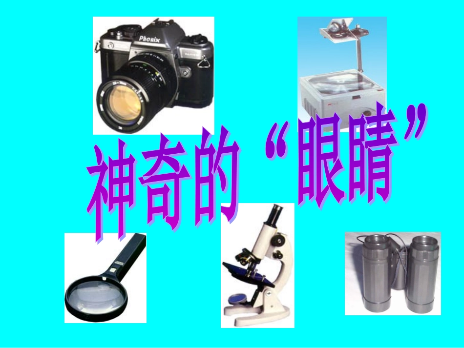 神奇的“眼睛”_第1页