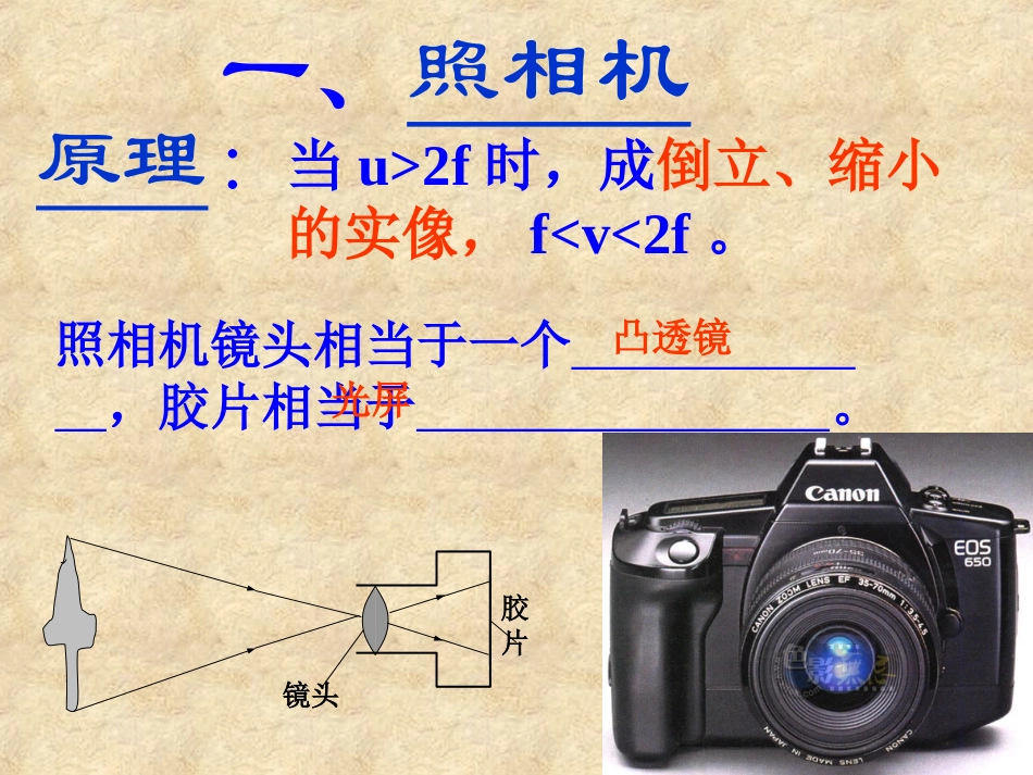 神奇的“眼睛”_第2页