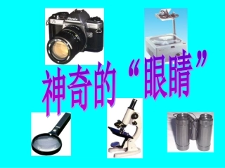 神奇的“眼睛”