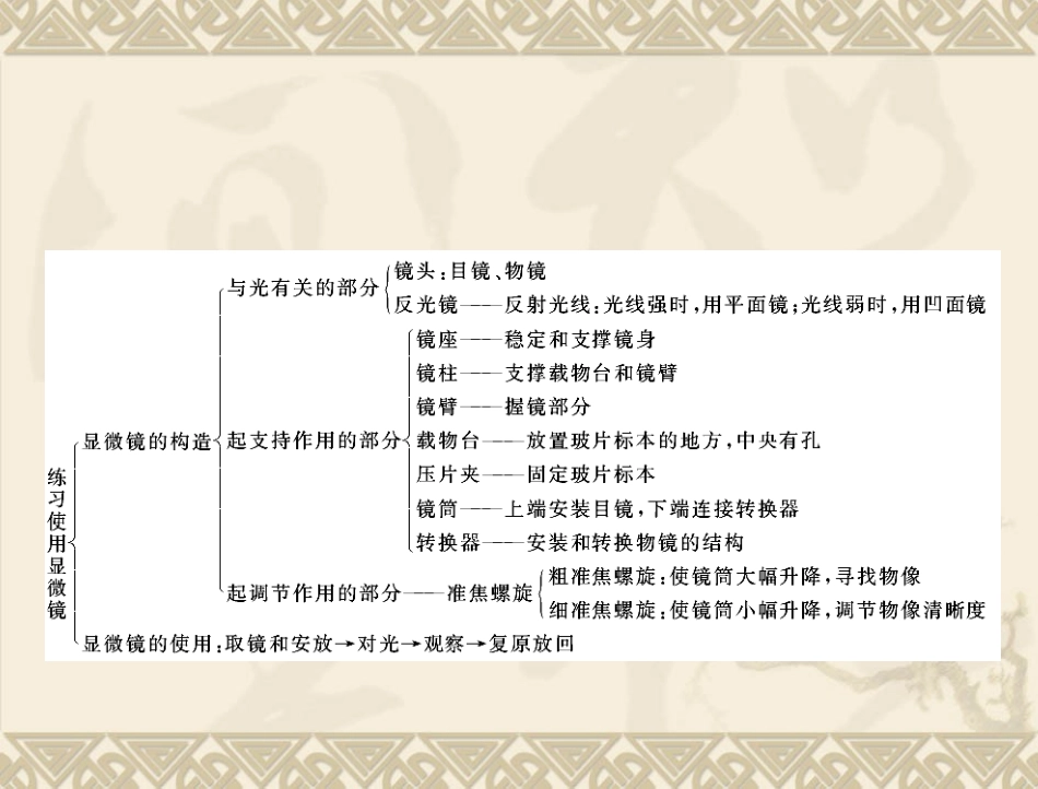 生物：211《练习使用显微镜》课件(人教版七年级上)_第2页