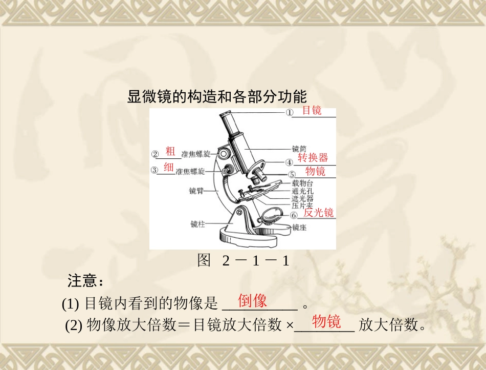 生物：211《练习使用显微镜》课件(人教版七年级上)_第3页