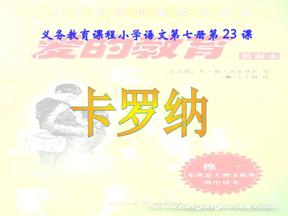 卡罗纳课件 (2)_第2页