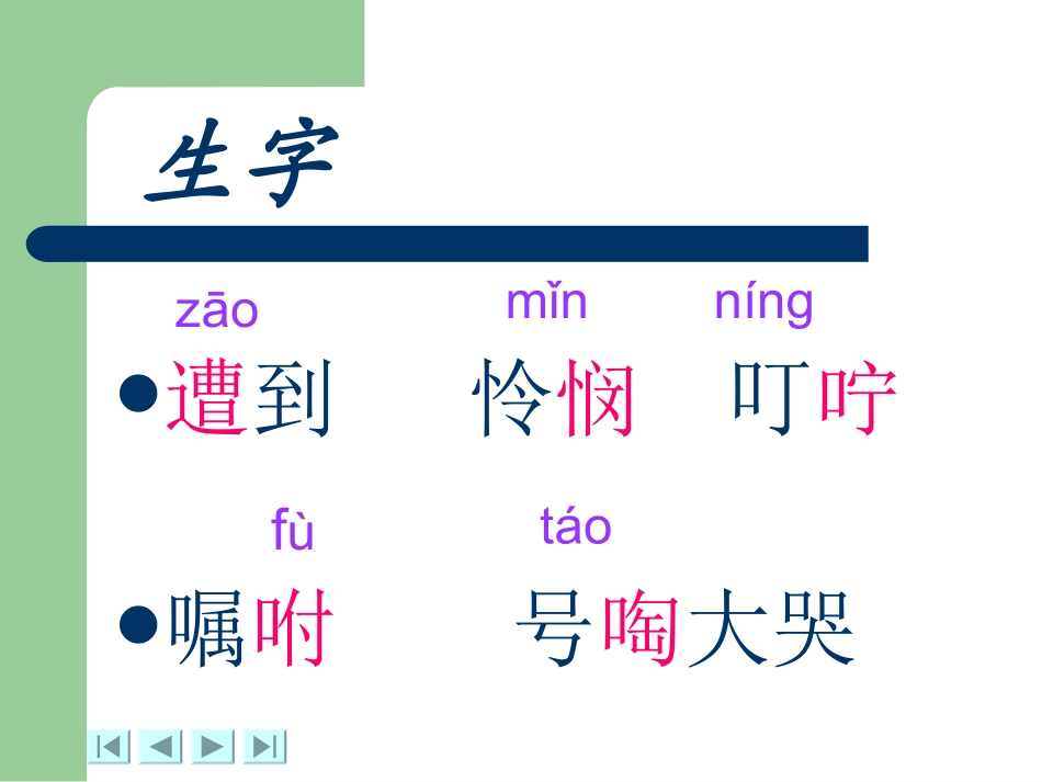 卡罗纳课件 (2)_第3页