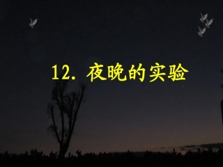 苏教版六年级下册12《夜晚的实验》2