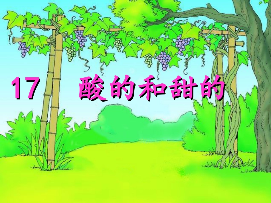 酸的和甜的PPT_第1页