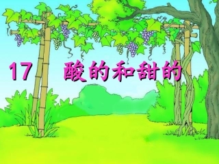 酸的和甜的PPT