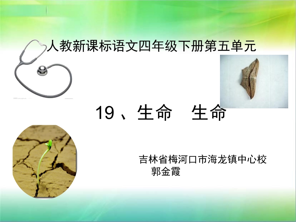 生命生命-郭金霞_第1页