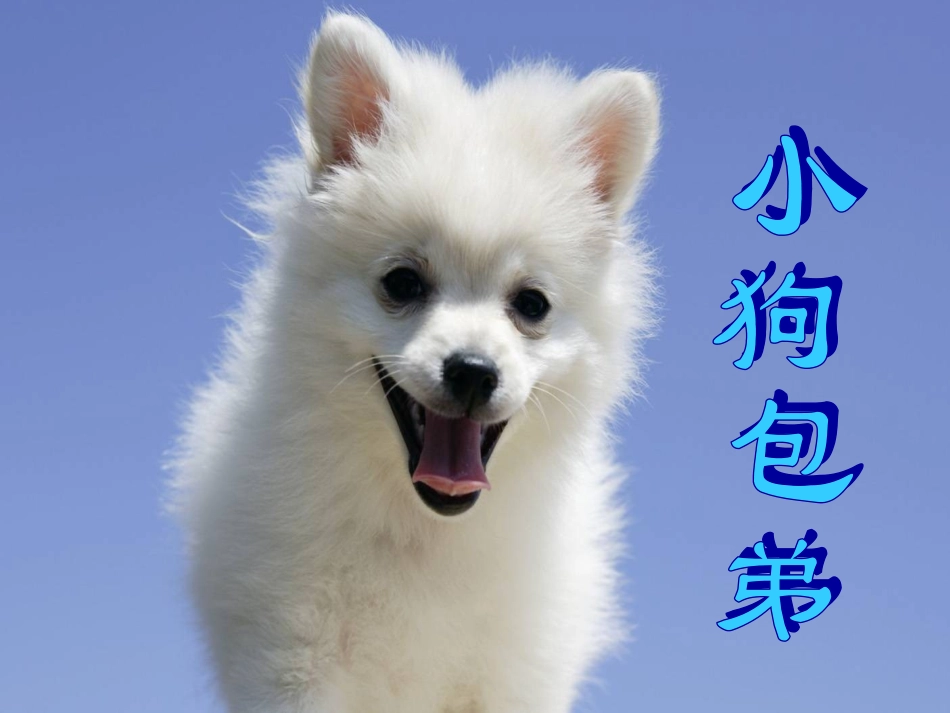 小狗包弟 (2)_第1页