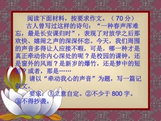 牵动我心的声音