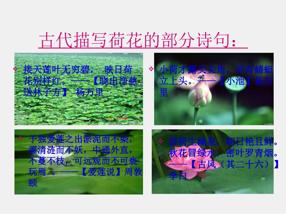 苏幕遮周邦彦_第1页