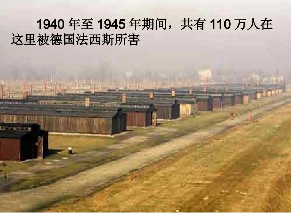 优质课一等奖_《奥斯维辛没有什么新闻》课件_第3页