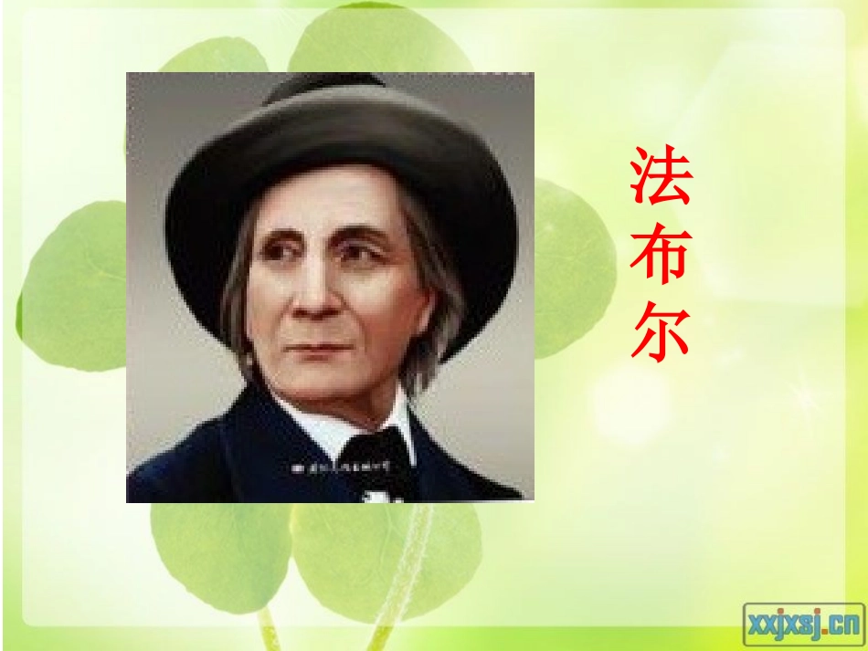 长春版二年级下册《毛毛虫的故事》课件_第1页