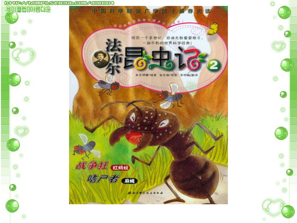 长春版二年级下册《毛毛虫的故事》课件_第2页