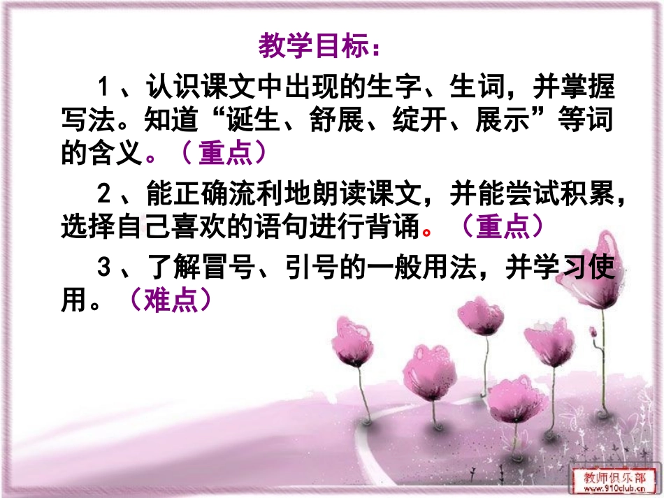 紫色的小花 (2)_第3页