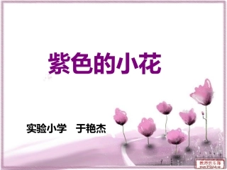 紫色的小花 (2)