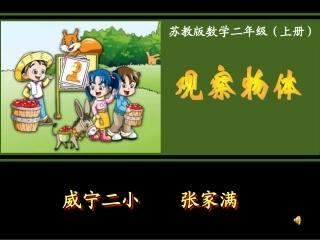 苏教版国标本二年级上册《观察物体》课件