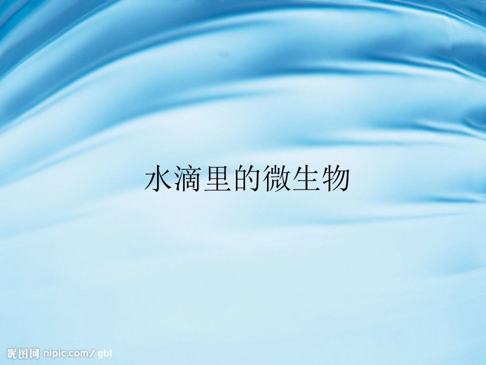 水滴里的微生物_第2页