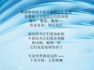 水滴里的微生物