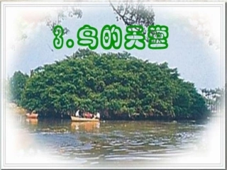 人教版四年级语文上册3鸟的天堂(精品课件)