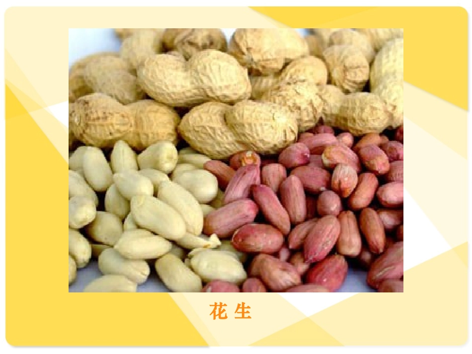 五年级语文上册——15落花生_第3页