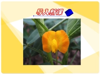 五年级语文上册——15落花生