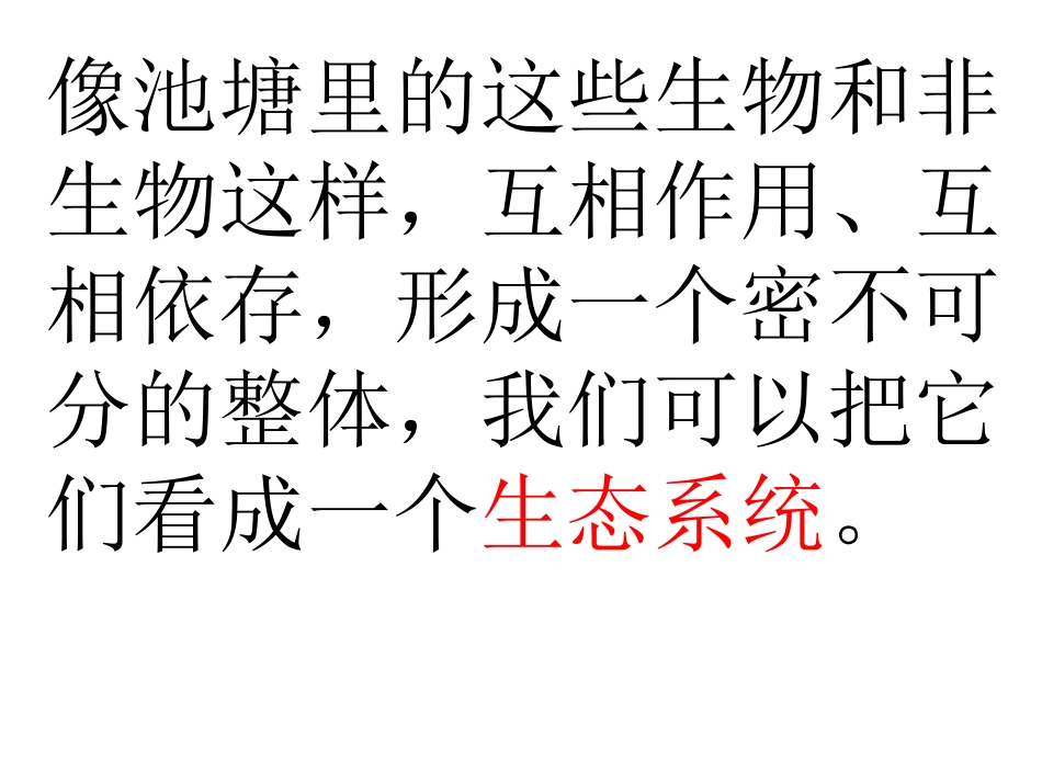 做一个生态瓶_第2页