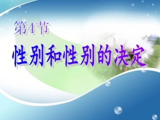 性别和性别决定
