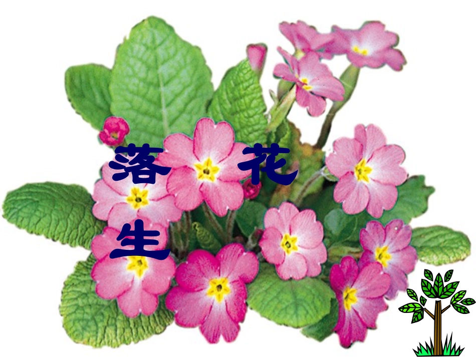 落花生2 (2)_第2页