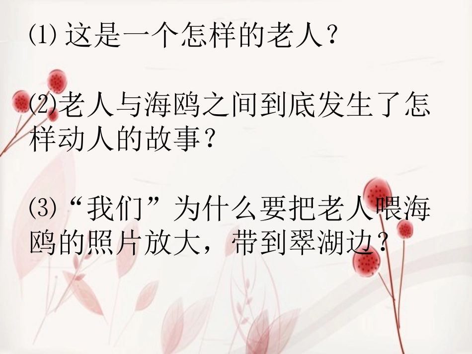 老人与海鸥 (6)_第3页