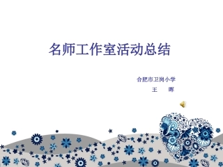 王晖工作室总结