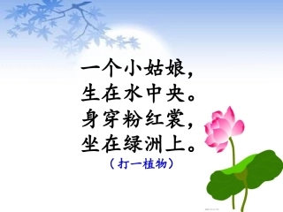 修辞手法复习课