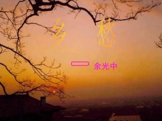 余光中《乡愁》课件