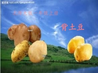 一年级背土豆课件