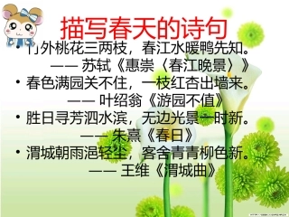 人教版四年级下册语文17触摸春天2课时