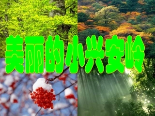 三年级上语文课件-美丽的小兴安岭-人教新课标 (2)